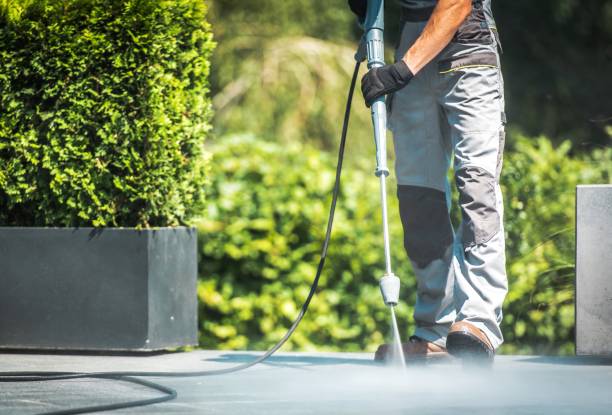 Best Residential Pressure Washing in Carey, OH