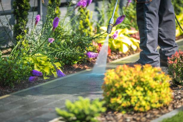 Best Deck and Patio Pressure Washing in Carey, OH