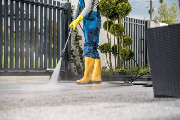 Best Window and Screen Pressure Cleaning in Carey, OH